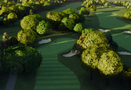 A rendered view of the fourth green sunk among tree crowns.