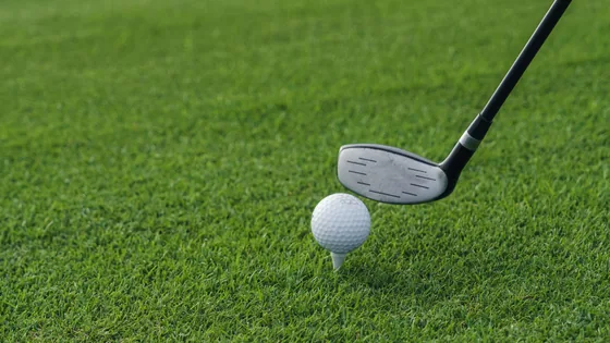 A golf ball on a white tee, the face of a club resting just behind it on close-mown grass.